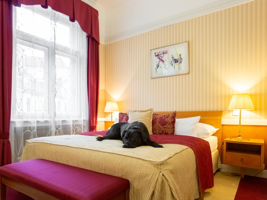Hotel Paris Prague | Praha 1 | 11