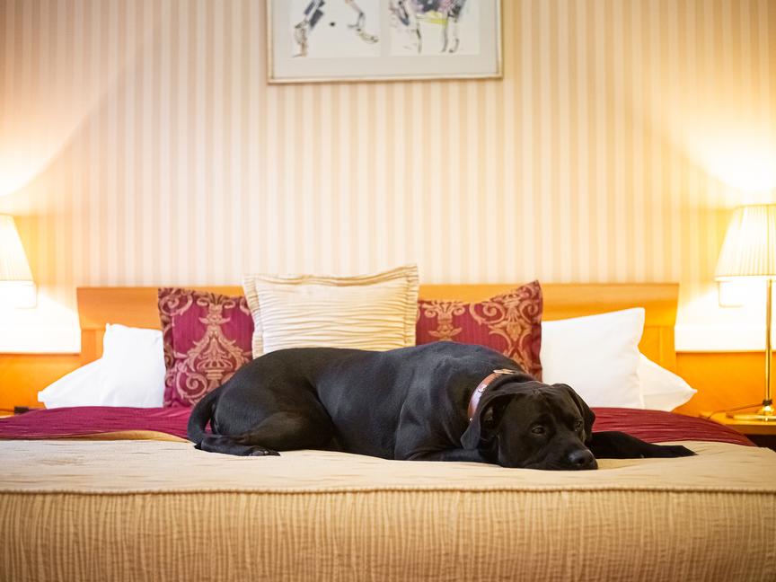 Hotel Paris Prague | Praha 1 | 8