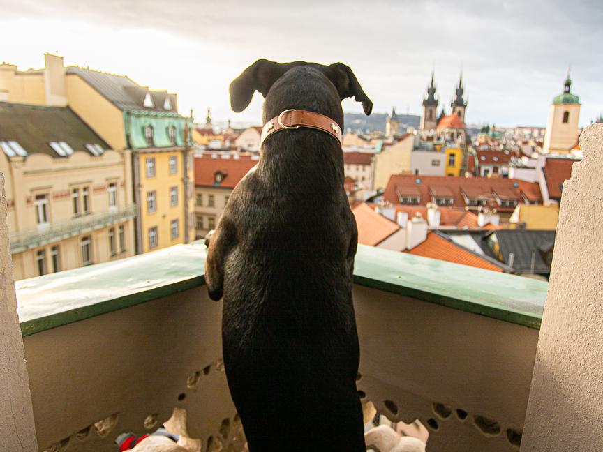 Hotel Paris Prague | Praha 1 | 12