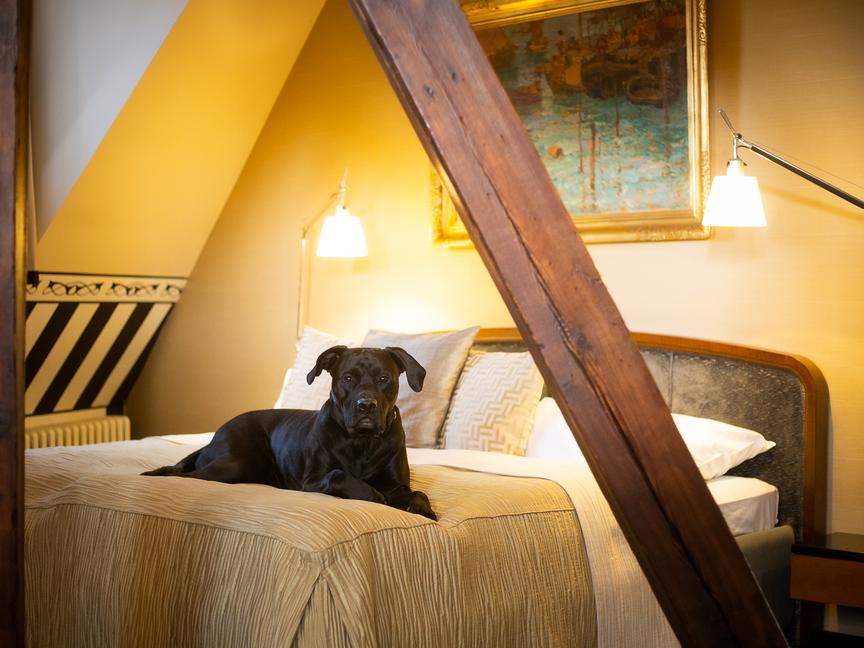 Hotel Paris Prague | Praha 1 | 9