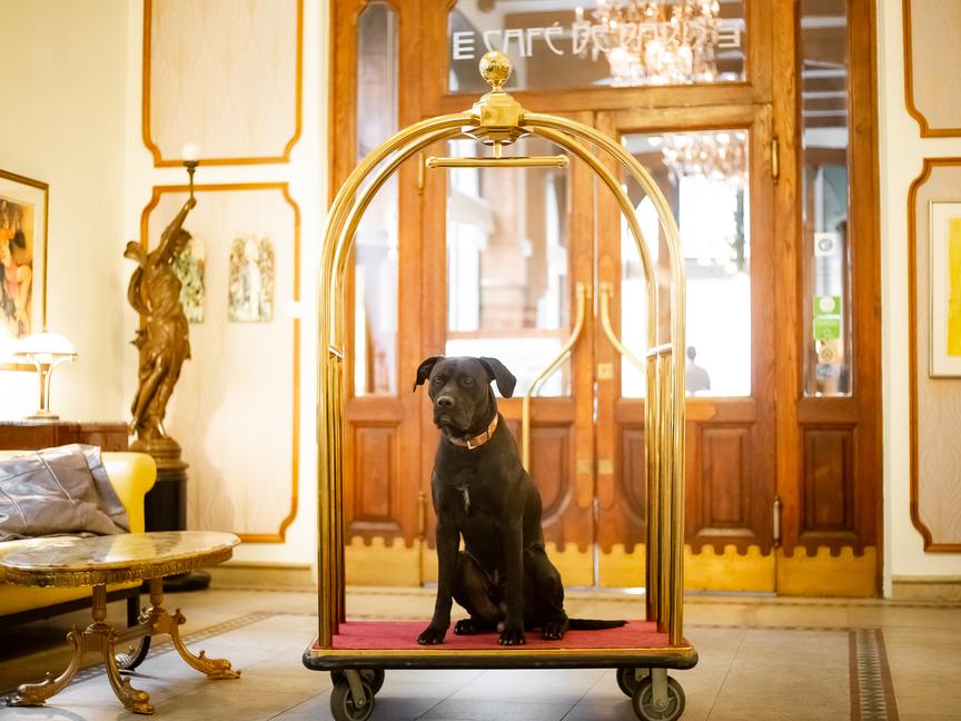 Hotel Paris Prague | Praha 1 | 7